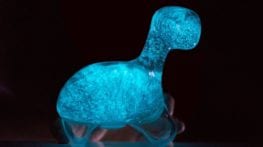 Unique Gift 4- Bioluminescent Dino Pet