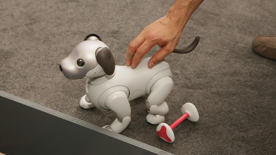 Sony Aibo